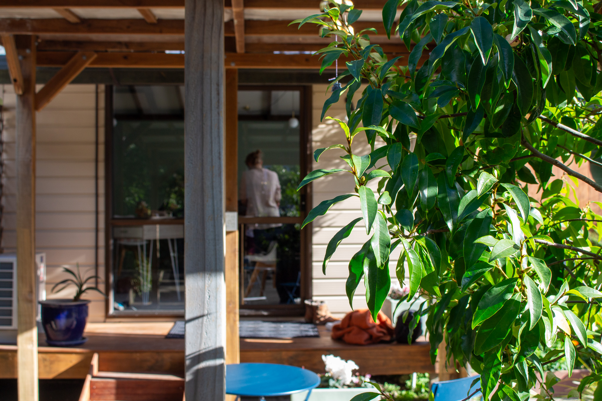 Energy Healing in Nelson NZ